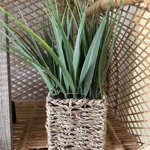 Artificial Green Plant in Woven Basket